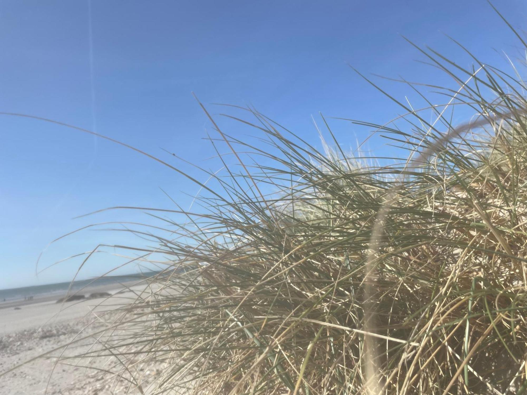 Vue Mer, Golfe Et Dunes- Residence Dunes Du Golfe Wimereux Buitenkant foto
